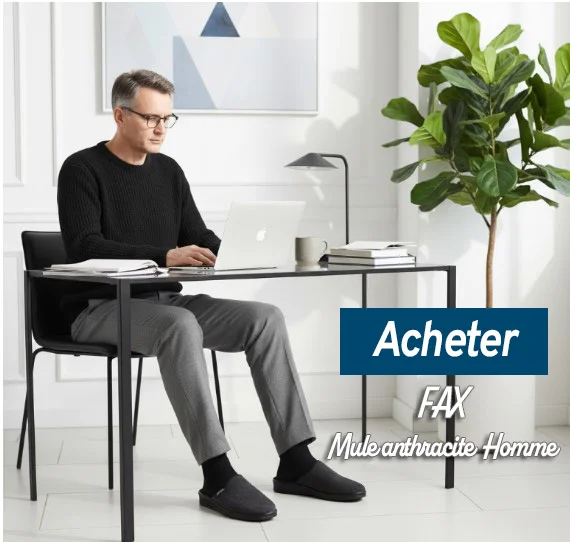 chausson mule homme fax airplum Airplum