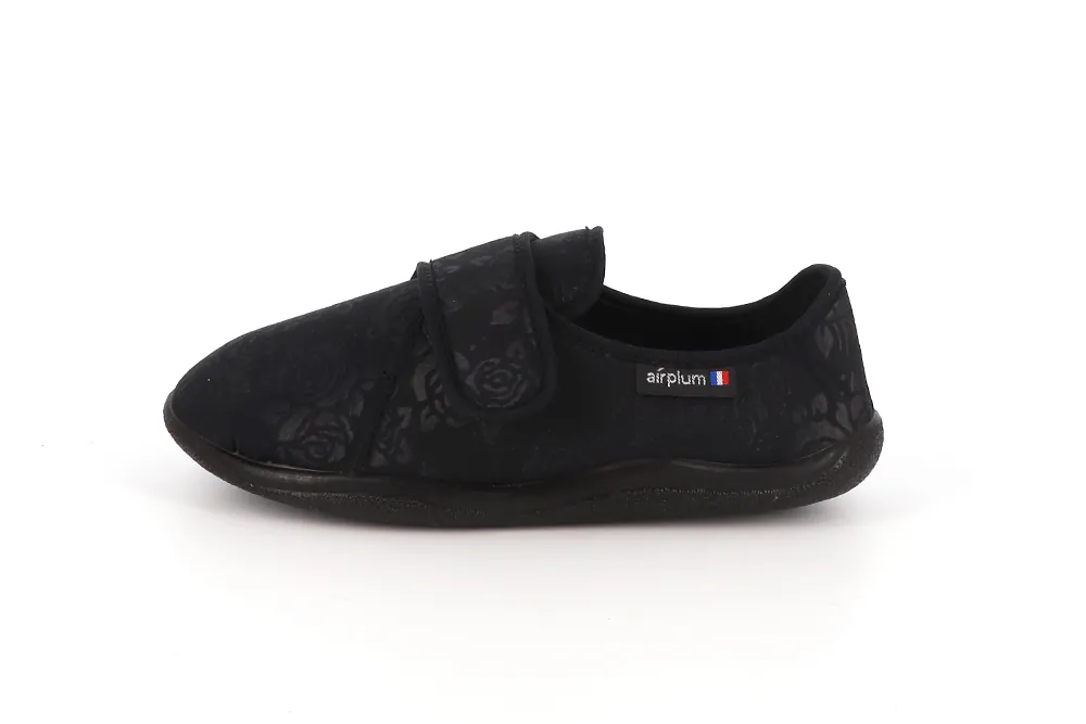 zulip scratch doctissimo senior